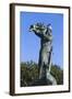 Hagendenkmal-null-Framed Photographic Print