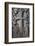 Haghbat (Haghpat) Monastery-Jane Sweeney-Framed Photographic Print