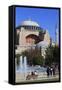 Haghia Sophia, UNESCO World Heritage Site, Sultanahmet District, Istanbul, Turkey, Europe-Richard-Framed Stretched Canvas