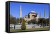 Haghia Sophia, UNESCO World Heritage Site, Sultanahmet District, Istanbul, Turkey, Europe-Richard-Framed Stretched Canvas