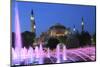 Hagia Sophia (Aya Sofya) at night, UNESCO World Heritage Site, Sultanahmet Square Park, Istanbul, T-Wendy Connett-Mounted Photographic Print