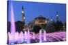 Hagia Sophia (Aya Sofya) at night, UNESCO World Heritage Site, Sultanahmet Square Park, Istanbul, T-Wendy Connett-Stretched Canvas