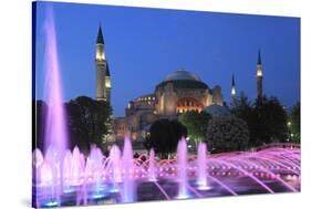 Hagia Sophia (Aya Sofya) at night, UNESCO World Heritage Site, Sultanahmet Square Park, Istanbul, T-Wendy Connett-Stretched Canvas