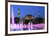 Hagia Sophia (Aya Sofya) at night, UNESCO World Heritage Site, Sultanahmet Square Park, Istanbul, T-Wendy Connett-Framed Photographic Print