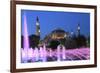 Hagia Sophia (Aya Sofya) at night, UNESCO World Heritage Site, Sultanahmet Square Park, Istanbul, T-Wendy Connett-Framed Photographic Print