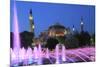 Hagia Sophia (Aya Sofya) at night, UNESCO World Heritage Site, Sultanahmet Square Park, Istanbul, T-Wendy Connett-Mounted Photographic Print