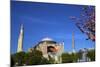 Hagia Sophia (Aya Sofya) (The Church of Holy Wisdom)-Neil Farrin-Mounted Photographic Print