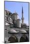 Hagia Sophia, Istanbul, Turkey-null-Mounted Art Print