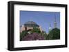 Hagia Sophia, Istanbul, Turkey-null-Framed Art Print