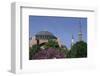 Hagia Sophia, Istanbul, Turkey-null-Framed Art Print