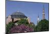 Hagia Sophia, Istanbul, Turkey-null-Mounted Art Print