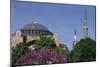 Hagia Sophia, Istanbul, Turkey-null-Mounted Art Print