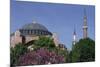 Hagia Sophia, Istanbul, Turkey-null-Mounted Art Print