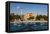 Hagia Sophia, Istanbul, Turkey.-Ali Kabas-Framed Stretched Canvas