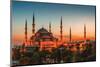 Hagia Sophia Mosque Istanbul-null-Mounted Art Print