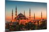 Hagia Sophia Mosque Istanbul-null-Mounted Art Print