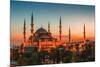 Hagia Sophia Mosque Istanbul-null-Mounted Art Print