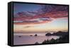 Hahei Beach at Sunrise, Coromandel Peninsula, North Island, New Zealand-Ian Trower-Framed Stretched Canvas