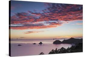 Hahei Beach at Sunrise, Coromandel Peninsula, North Island, New Zealand-Ian Trower-Stretched Canvas