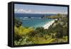 Hahei Beach, Hahei, Coromandel Peninsula, Waikato, North Island, New Zealand, Pacific-Stuart-Framed Stretched Canvas