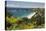 Hahei Beach, Hahei, Coromandel Peninsula, Waikato, North Island, New Zealand, Pacific-Stuart-Stretched Canvas