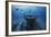 Hai Siang Wreck-Barathieu Gabriel-Framed Photographic Print