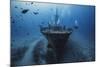 Hai Siang Wreck-Barathieu Gabriel-Mounted Photographic Print