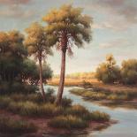 In the Tropics II-Haibin-Stretched Canvas