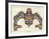 Haida Dog-Fish-null-Framed Giclee Print