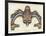 Haida Dog-Fish-null-Framed Giclee Print