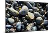 Haida Gwaii Islands, British Columbia. Agates are Found on Many of the Beaches on Graham Island-Richard Wright-Mounted Photographic Print