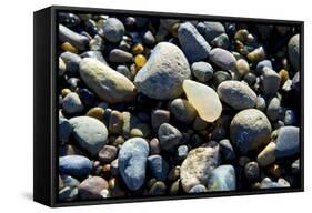 Haida Gwaii Islands, British Columbia. Agates are Found on Many of the Beaches on Graham Island-Richard Wright-Framed Stretched Canvas