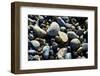 Haida Gwaii Islands, British Columbia. Agates are Found on Many of the Beaches on Graham Island-Richard Wright-Framed Photographic Print