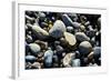 Haida Gwaii Islands, British Columbia. Agates are Found on Many of the Beaches on Graham Island-Richard Wright-Framed Photographic Print