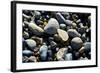 Haida Gwaii Islands, British Columbia. Agates are Found on Many of the Beaches on Graham Island-Richard Wright-Framed Photographic Print