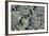 Haida Gwaii Islands, British Columbia. Beach Stones-Richard Wright-Framed Photographic Print