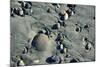 Haida Gwaii Islands, British Columbia. Beach Stones-Richard Wright-Mounted Photographic Print