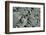 Haida Gwaii Islands, British Columbia. Beach Stones-Richard Wright-Framed Photographic Print