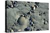 Haida Gwaii Islands, British Columbia. Beach Stones-Richard Wright-Stretched Canvas