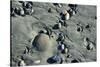 Haida Gwaii Islands, British Columbia. Beach Stones-Richard Wright-Stretched Canvas