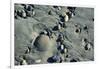 Haida Gwaii Islands, British Columbia. Beach Stones-Richard Wright-Framed Photographic Print