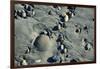 Haida Gwaii Islands, British Columbia. Beach Stones-Richard Wright-Framed Photographic Print