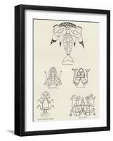 Haida Tattoo Marks-null-Framed Giclee Print