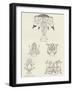 Haida Tattoo Marks-null-Framed Giclee Print