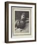 Haidee-George L. Seymour-Framed Giclee Print