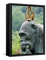 Hainan Province, Hainan Island, Monkey Island Research Park - a Gorilla Statue, China-Christian Kober-Framed Stretched Canvas