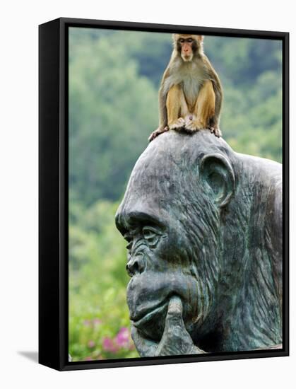 Hainan Province, Hainan Island, Monkey Island Research Park - a Gorilla Statue, China-Christian Kober-Framed Stretched Canvas