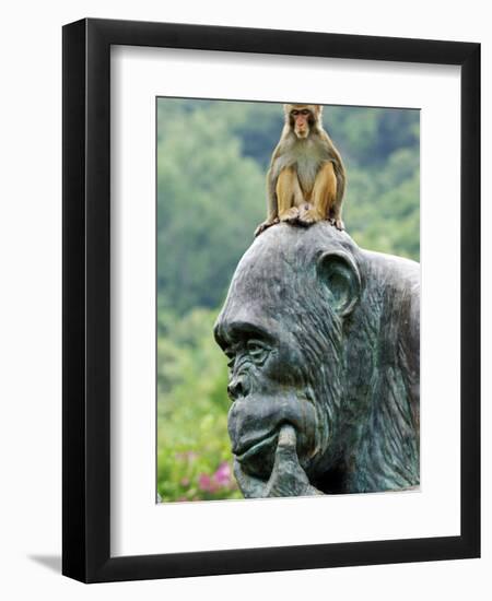 Hainan Province, Hainan Island, Monkey Island Research Park - a Gorilla Statue, China-Christian Kober-Framed Photographic Print