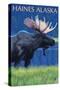 Haines, Alaska, Moose in the Moonlight-Lantern Press-Stretched Canvas