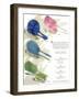 Hair Brush Sets-null-Framed Art Print